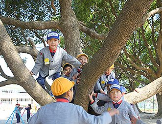 園庭遊び