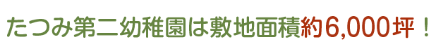 たつみ幼稚園は敷地面積約000坪！